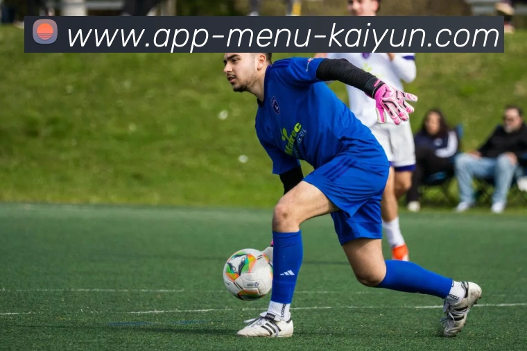 开云APPAPP 封面图